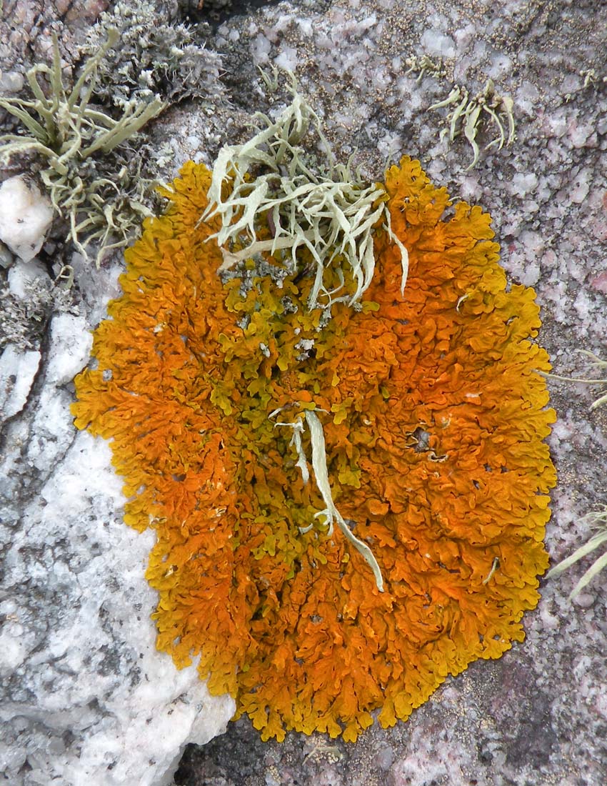 Sugli scogli del Galles